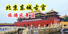 抽插老女人电影中国北京-东城古宫旅游风景区